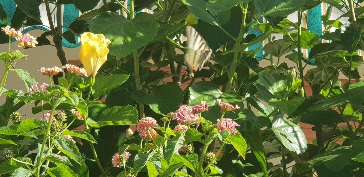 Appartamento Con Giardino Sul Mare Gallipoli Exterior foto
